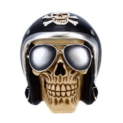 Treasure Cove P75492C Skull with Glasses and Helmet 1