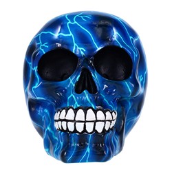 Treasure Cove P78412BX Skull Blue 1