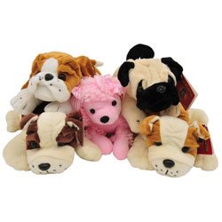 Calplush prices shop