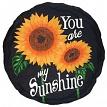 SPOONTIQUES 13395 Stepping Stone You are My Sunshine