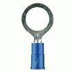 Metra 3MBVRT10 16-14 Gauge 3M Blue Vinyl #10 Ring Terminal 100-Pack