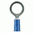 Metra 3MBVRT6 16-14 Gauge 3M Blue Vinyl #6 Ring Terminal 100-Pack