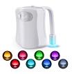 Neon Knight NKTOILET Motion Activated Toilet Light 8ct PDQ