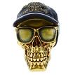 Treasure Cove P75484H Skull with Glasses and Hat