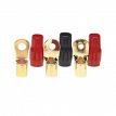 Raptor R8516RT 5/16 8-Gauge Gold Ring Terminals-Mid Series 20-Pack