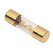 RAPTOR RAGU605 60 Amp Gold AGU Fuses - 5-Pack