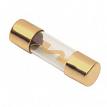 RAPTOR RAGU805 80 Amp Gold AGU Fuses - 5-Pack