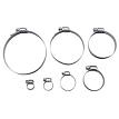 RoadPro RP20HS051 50pc Hose Clamp Set