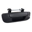 Metra TERMH Dodge RAM 2002-2009 Tailgate Handle Camera